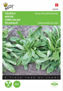 Buzzy® zaden - Veldsla Grote Noordhollandse - afbeelding 1