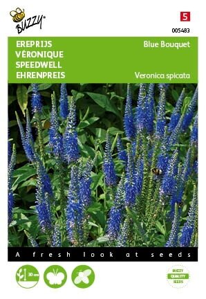 Buzzy® zaden - Veronica, Ereprijs Blue Bouquet - afbeelding 1