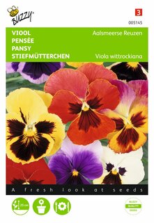 Buzzy® zaden - Viola, Viool Aalsmeerse Reuzen gemengd - afbeelding 2