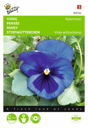 Buzzy® zaden - Viola, Viool Alpenmeer blauw - afbeelding 1