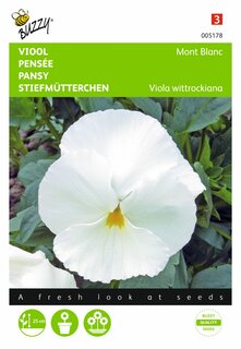 Buzzy® zaden - Viola, Viool Mont Blanc Zwitserse Reuzen - afbeelding 2