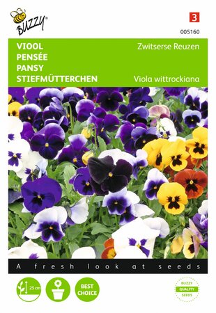 Buzzy® zaden - Viola, Viool Zwitserse Reuzen gemengd - afbeelding 1