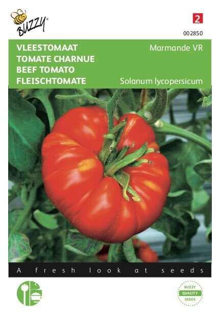 Buzzy® zaden - Vleestomaat Marmande VR - afbeelding 1