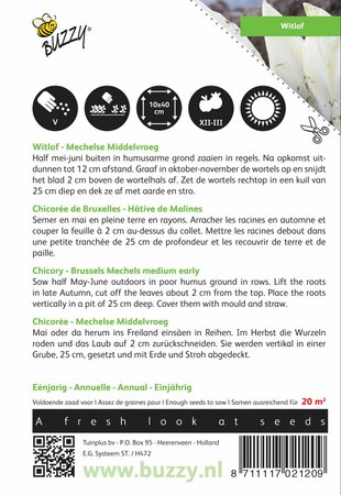 Buzzy® zaden - Witlof Mechelse Middenvroeg - afbeelding 2