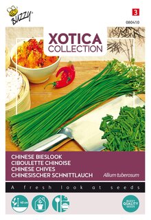 Buzzy® zaden - Xotica Chinese Bieslook - afbeelding 2