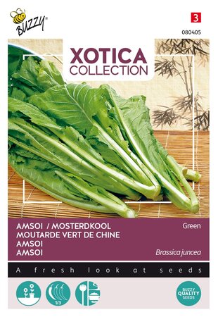 Buzzy® zaden - Xotica Groene Amsoi of mosterdkool - afbeelding 1