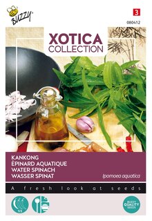 Buzzy® zaden - Xotica Kankong, Waterspinazie of Dagoeblad - afbeelding 2