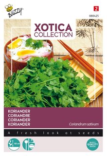 Buzzy® zaden - Xotica Koriander - afbeelding 2