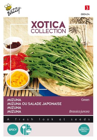 Buzzy® zaden - Xotica Mizuna, Japanse salade - afbeelding 1