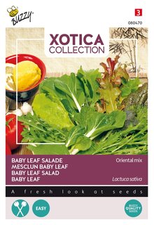 Buzzy® zaden - Xotica Oriental mix, Baby Leaf mix - afbeelding 2