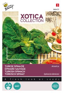 Buzzy® zaden - Xotica Turkse Spinazie (wilde) - afbeelding 2