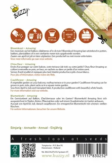 Buzzy® zaden - Bloemkool Amazing - afbeelding 2
