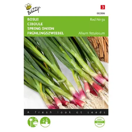 Buzzy® zaden - Bosuien rood - afbeelding 1