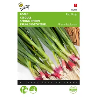 Buzzy® zaden - Bosuien rood - afbeelding 1