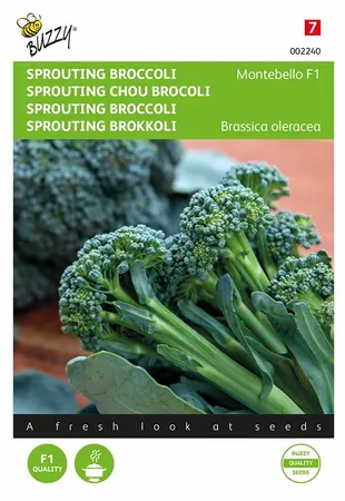 Buzzy® zaden - Broccoli Montobello - afbeelding 1