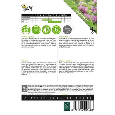 Buzzy® zaden - Citroenbergamot Monarda Citriodora - afbeelding 2