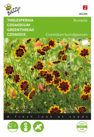 Buzzy® zaden - Cosmidium, Thelesperma Brunette - afbeelding 1