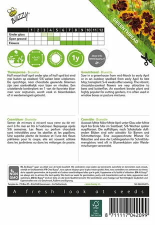 Buzzy® zaden - Cosmidium, Thelesperma Brunette - afbeelding 2