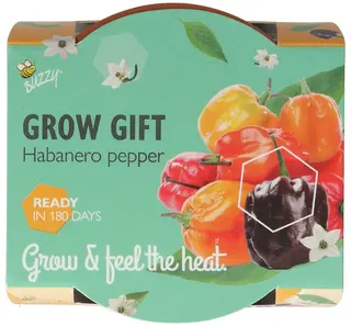 Buzzy® zaden - Grow Gifts Peper - afbeelding 2