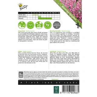 Buzzy® zaden - Hangsilene - afbeelding 2