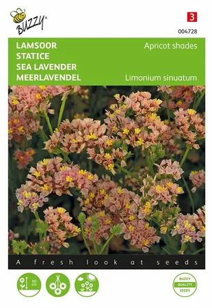 Buzzy® zaden - Lamsoor Apricot Shades