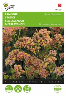 Buzzy® zaden - Lamsoor Apricot Shades