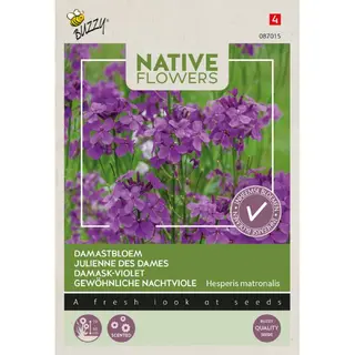 Buzzy® zaden - Native Flowers - Damastbloem - afbeelding 1