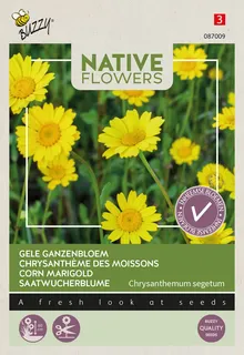 Buzzy® zaden - Native Flowers - Gele Ganzenbloem
