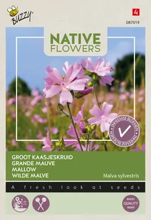 Buzzy® zaden - Native Flowers - Groot Kaasjeskruid - afbeelding 1