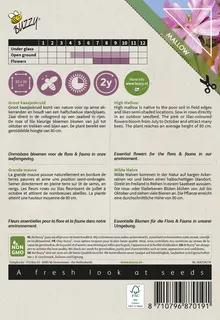 Buzzy® zaden - Native Flowers - Groot Kaasjeskruid - afbeelding 2