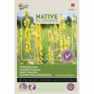 Buzzy® zaden - Native Flowers - Koningskaars