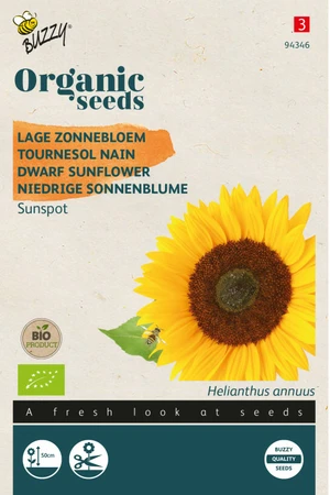 Buzzy® zaden - Organic Helianthus, Lage zonnebloem Sunspot (BIO) - afbeelding 1