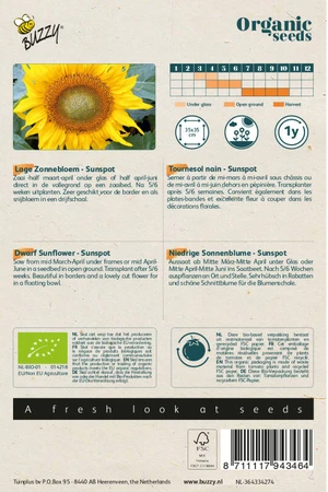 Buzzy® zaden - Organic Helianthus, Lage zonnebloem Sunspot (BIO) - afbeelding 2