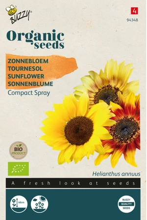 Buzzy® zaden - Organic Helianthus, Zonnebloem Compact Spray (BIO)