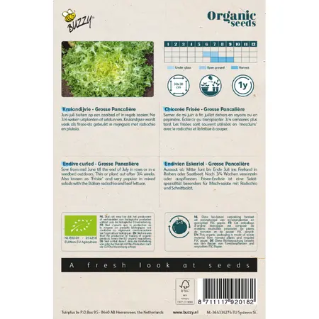 Buzzy® zaden - Organic Krulandijvie Grosse Pancalière  (BIO)