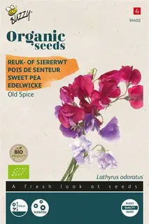 Buzzy® zaden - Organic Lathyrus, Reuk- of Siererwt Old Spice (BIO) - afbeelding 2