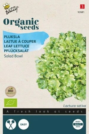 Buzzy® zaden - Organic Pluksla Salad Bowl, groen  (BIO) - afbeelding 1