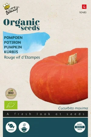 Buzzy® zaden - Organic Pompoen Rode van Etampes (BIO) - afbeelding 1