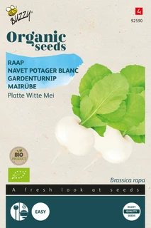 Buzzy® zaden - Organic Raap Platte Witte Mei (BIO) - afbeelding 1