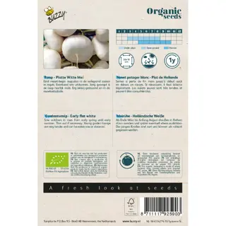 Buzzy® zaden - Organic Raap Platte Witte Mei (BIO) - afbeelding 2