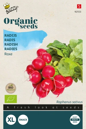 Buzzy® zaden - Organic Radijs Raxe  (BIO)