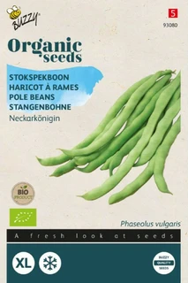Buzzy® zaden - Organic Stokspekboon Neckarkönigin (BIO) - afbeelding 1