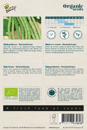 Buzzy® zaden - Organic Stokspekboon Neckarkönigin (BIO) - afbeelding 2