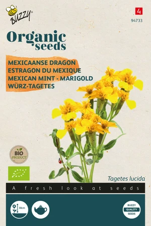 Buzzy® zaden - Organic Tagetes Lucida, Mexicaanse dragon (BIO) - afbeelding 1