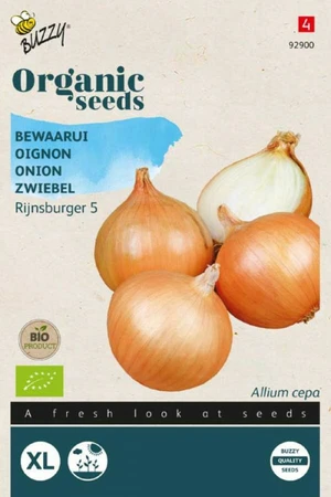 Buzzy® zaden - Organic Ui Rijnsburger 5, bewaarui (BIO) - afbeelding 1