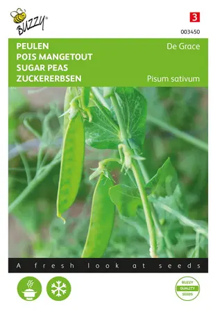Buzzy® zaden - Peulen De Grace - afbeelding 1