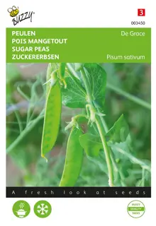 Buzzy® zaden - Peulen De Grace - afbeelding 1