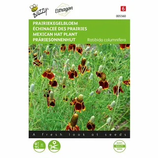 Buzzy® zaden - Prairiekegelbloem - afbeelding 1