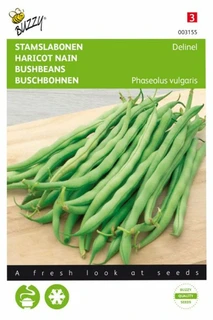 Buzzy® zaden - Stamslabonen Delinel - afbeelding 1
