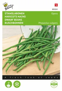 Buzzy® zaden - Stamslabonen Opera (Gourmetboontje) - afbeelding 1